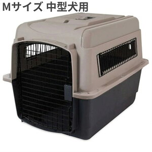 ybgCg EgoPl 200 MTCY 20-30lbs (9-13.5kg) g[v/ubN ^p