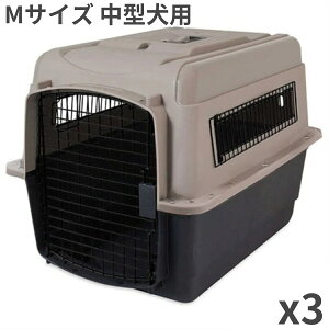 ybgCg EgoPl 200 MTCY 20-30lbs (9-13.5kg) g[v/ubN ^p ×3