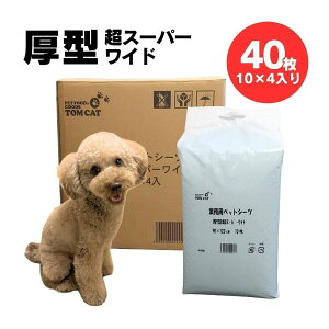 gLbg ƖpybgV[c ^X[p[Ch 10 ×4ܓ