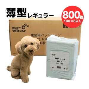 gLbg ƖpybgV[c ^M[ 100 ×8ܓ