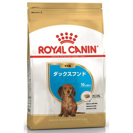 ロイヤルカナン ダックスフンド 子犬用 800g×2