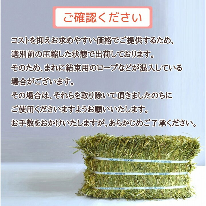 楽天市場】【10％OFFクーポンあり7/18(土)0：00 ～ 9/17(木)23：59 