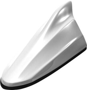 r[g\jbN htBAei FM/AMp TYPE4 z_J[V[Y NH883P v`izCgEp[ FDX4H-NH883P