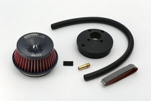 BLITZ SUS POWER CORE TYPE LM RED Xo R2 R2 2003/12-2006/11 RC1,RC2 59136