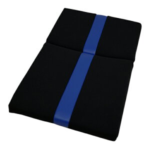 BRIDE �u���b�h GIASIII�ESTRADIAIII REIMS�p�w���N�b�V���� �u���[ ���N���C�j���O�V�[�g�p�I�v�V�����p�[�c P12CN2