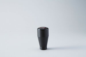 SPOON WRtgmui5j tBbg GP4RS HYBRID 6MT LEA ALL-54102-001