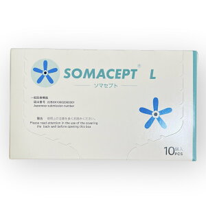 \}Zvg L 10SOMACEPT@lR|X̂ݑ