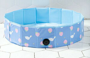 ܏݃v[ v[ C Ԃ rj[v[ ƒpv[ C v[obN ܂肽 @\ pr tFX Vя xr[ q LbY  ȒP ǂłu V ܂