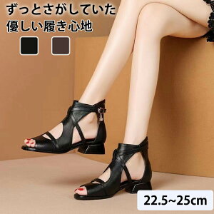 T_ fB[X T}[u[c ău[c ɂȂC ȂC u[cT_ T}[u[c 킢 `L[q[ T_t@bVT_ rl ėpu[c ʊw 