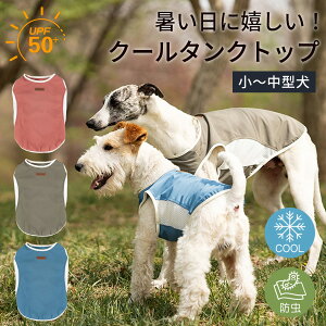   ڐG⊴ h 悯 ^Ngbv ^ ^ UVJbg bV N[  t  hbOEGA ̕ ⊴ ėp Ȃ    xXg ybg ₷  t  E