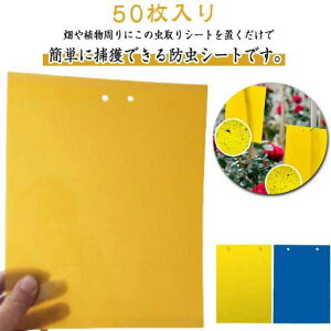 XeBbL[ Q΍ gbv 50 ߂SV[g ߒV[g 50  SV[g ͔S Lb`[ nG AuV ~oG ߊl OΉ K[fj