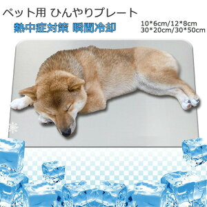 yVLOiIzybgp Ђv[g nX^[  v[g Lp}bg ⊴v[g N[V[g A~ {[h N[}bg  p ăObY MǑ΍ L
