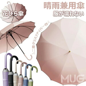 y ԂтPꖇz fB[X P JP P Jp P  傫 y 16{  V[X JP   킢  ꂢ Pp i a n