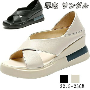  T_ fB[X IV ItBX ItBXT_ ₷ _炩 y r 6.5cm Xb| EH[LO Ȃ ~  lC 䟭 22.5-25cm