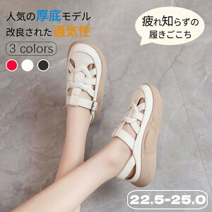 T{T_  EH[LOV[Y T_ Xj[J[ V[Y T_  gAbv4cm lԍHw _炩 Ȃ Xb| JWAV[Y yʐ