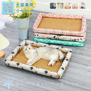 ybgxbh   L ⊴ VRf | Ђ 􂦂 }bg ⊴}bg ^Ή ϊ Lxbh ybgpzc t  hbOxbh IV 킢 ʋC L}bg 