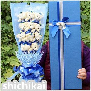 zCgf[ \[vt[ ԑ ̉ԑ Rosev|[Y J[l[V o [Y   ސEj  hV̓ j 蕨 T^ ̍ zCgf[ v[g Mtg