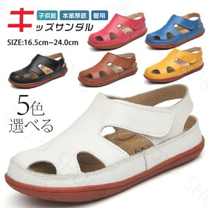 T_ r[`T_  qC V[Y NbOT_ T{T_ ~ LbY X|T q ܐ  ₷ C qǂT_ Y fB[X 