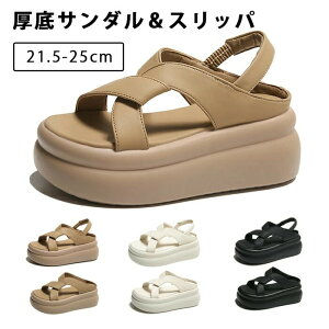 T_  T_ X|[cT_ TCY Xbp fB[X q[7cm bNX T_ T_ y RtH[g ₷ r[`T_ y 傫