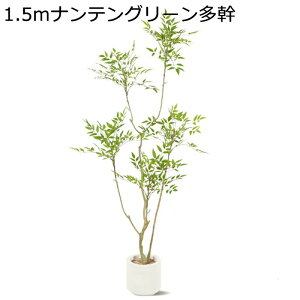 tFCNO[ ie CeA lHϗtA ϗtA A 180cm tFCNc[ lHA ϗt lHt   ͂Ȃ sv t A ԉ  ȃ