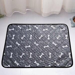 ^  Lp􂦂ybgV[c gCV[c z}bg 2g  h R L ~ Ȃ pbh V[c gCg[jO pbh JԂg ې 