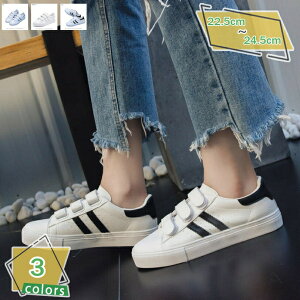 fB[XxNXj[J[ xN Xj[J[ ؂ zCg ubN    V[Y C tbg [JbgXj[J[ 킢  l tbgV[Y }WbN