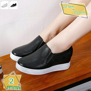 Xb| fB[X  t ʋC Xj[J[ [Jbg Cq[ Ȃ JWAV[Y 6cm q[ s 傫TCY EhgD t  Ȃ ʋ ʊw V[