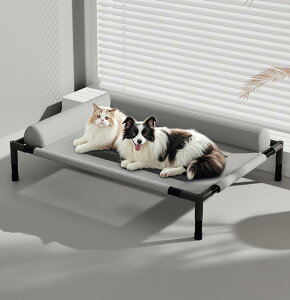 pxbh Ђ Rbg bV dog bed  xbh h ybgxbh pxbh L^t ^Lpxbh pRbgxbh 􂦂ʋCbV |[^uy