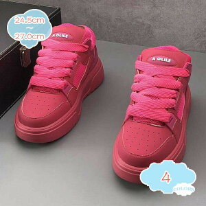 800~OFFN[| [XAbv Xj[J[  Y fbLV[Y XP[g{[hV[Y gup fB[X jp EH[LOV[Y jOV[Y JWA ^C 