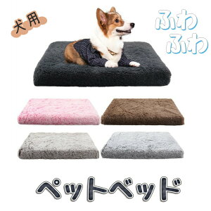  p xbh ybg ybgp ybgxbh xbg ӂӂ L  ybgxbh NbV }bg G  NbV 􂦂  킢 ӂӂ g  