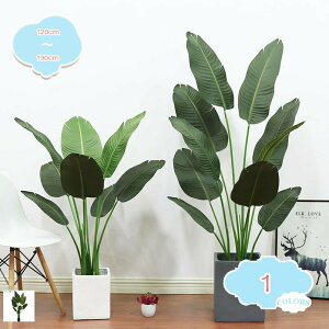 800~OFFN[| lHϗtA tFCNO[ ^ A CeA   rO  ȒP IV lH lHϗtA lHA Ηt A j JXj J