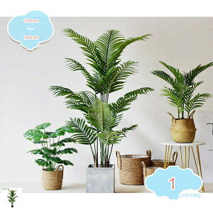 800~OFFN[| lHϗtA ^ tFCNO[  CeA  gsJ tFCNO[   ƒ ItBX z j JX JƏj tFCNO[ lH