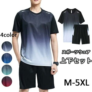 X|[cEFA Y  W[W Y ㉺Zbg ĕ jOEFA TVc V[gpc g[jOEFA  JWA  ⊴ ʋC z 傫TCY