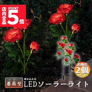 Ԍ|Cg5{O \[[Cg K[fCg 胉Cg 2Zbg ߍݎ h  ZT[ LEDK[fCg ԏ   Ő 5փ[YCg o K