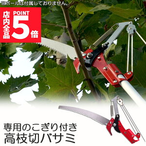 |Cg5{ }\Z[}؂oT~ [v }؂̂ }mRM }؂oT~ } y ͂ K[fjOpi  ʎ ̎ } nT~ | K[f