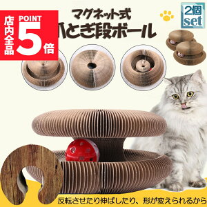 |Cg5{ }\Z[Lp܂Ƃ ܌ ܂Ƃi{[ L L 2Zbg Lp܂Ƃ {[t ܂ݎ njJ\ 2in1 gݗĊȒP {- ܌  ܖ