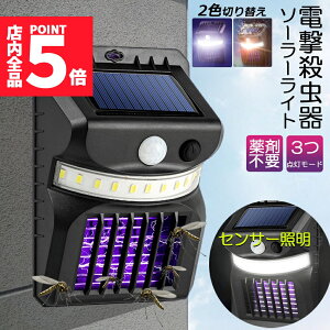P5{ }\Z[dE E \[[Cg led ZT[Cg 悯 Ɩ  gp\ _lZT[Cg  RoG K[fCg Lv 