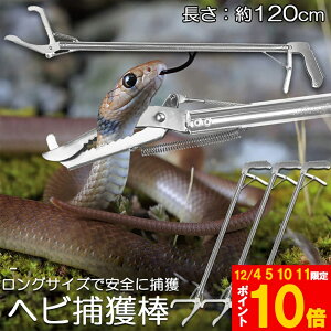 Ԍ!|Cg5{10{wrߊl_ 3{Zbg wr ߊl  ܂肽 wrߊl gO  ւ nu ގ ߊl ߊl_ ΍  쏜 Aj}Lb`[ @ Xl[NL