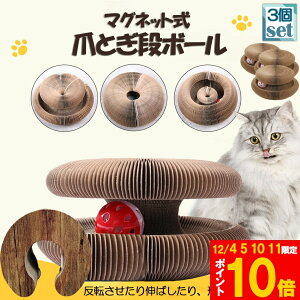 Ԍ!|Cg5{10{Lp܂Ƃ ܌ ܂Ƃi{[ L L 3Zbg Lp܂Ƃ {[t ܂ݎ njJ\ 2in1 gݗĊȒP {- ܌  ܖ