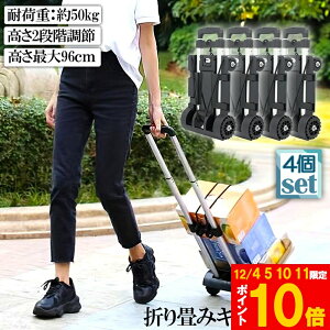 Ԍ!|Cg5{10{L[J[g ܂  4Zbg y É nhL[ ו^ԃJ[g ω׏d50kg Œ胍[vt ~ RpNg  4 Œ胍[v