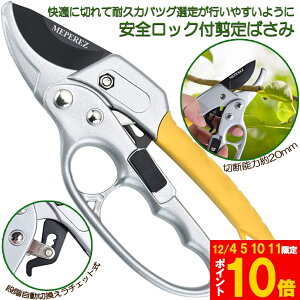 Ԍ!|Cg5{10{΂ `Fbg  |p͂ }؂΂ A~ `Fbg΂ ɂ y }  ~ 뉀 A  } K[fj