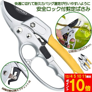 Ԍ!|Cg5{10{΂ `Fbg 2Zbg  |p͂ }؂΂ A~ `Fbg΂ ɂ y }  ~ 뉀 A  } K