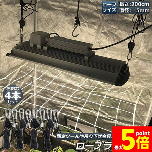 Ԍ!|Cg5{10{[v`Fbg 4{Zbg [vnK[ בxg tbN Jri ݂艺 ג@ [v 2m nK[  ֗ ^[veg BBQ AEghA 