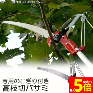 Ԍ!|Cg5{10{}؂oT~ [v }؂̂ }mRM }؂oT~ } y ͂ K[fjOpi  ʎ ̎ } nT~ | K[fj