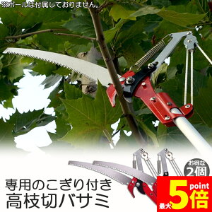 Ԍ!|Cg5{10{}؂oT~ 2Zbg [v }؂̂ }mRM }؂oT~ } y ͂ K[fjOpi  ʎ ̎ } nT~ 