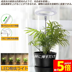 Ԍ!|Cg5{10{LEDA琬Cg A琬Cg Aɍ 4iK LED ACg A琬v ϗtApCg ͔|v I/It^C~O