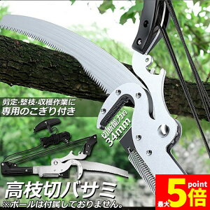 Ԍ!|Cg5{10{}؂oT~ }  }؂ }΂ [v }؂̂ }mRM }؂oT~ y ͂  ʎ ̎ } nT