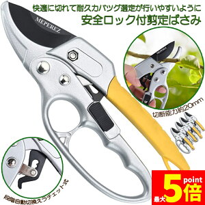 Ԍ!|Cg5{10{΂ `Fbg 4Zbg  |p͂ }؂΂ A~ `Fbg΂ ɂ y }  ~ 뉀 A  } K