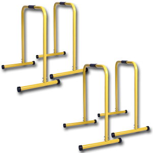 ★ポイント5倍 マラソンセール★ディップススタンド 懸垂運動 斜め懸垂 筋力 自宅 人気 筋トレ 全身トレーニング可能 ネス 2色選択 耐荷重150kg エクササイズ 腹筋 胸筋 腕 背中 広背筋 筋肉