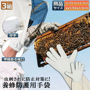 {Ip hO[u Ɨp _炩rv 3gZbg K[fjOO[u  v | t[TCY OO[u I Ȋ 쏜 Q쏜  Ɨp jp 悯 